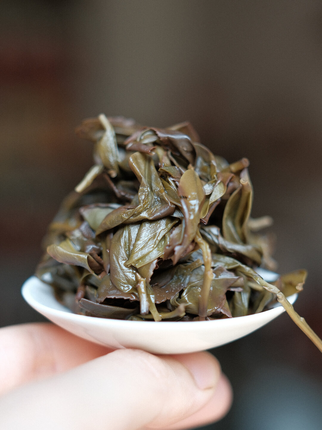 凤凰单丛的叶底