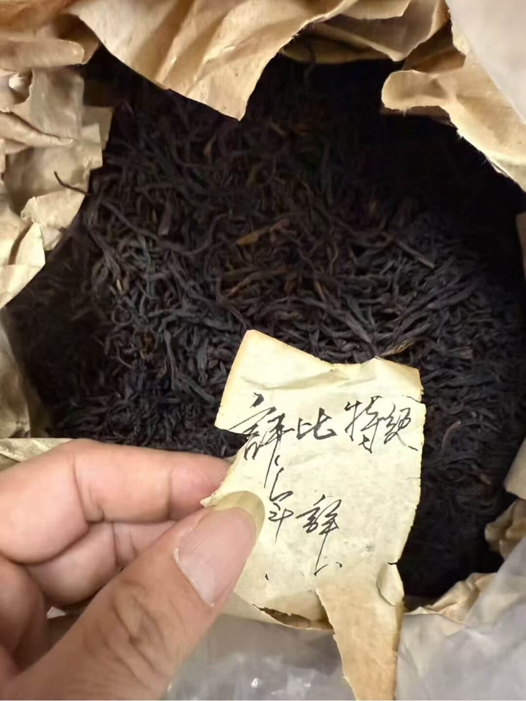97获奖的老单丛