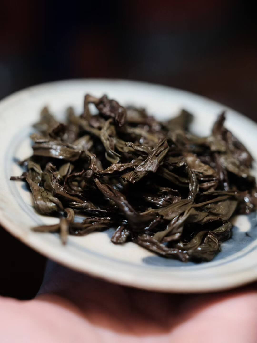 97获奖的老单丛