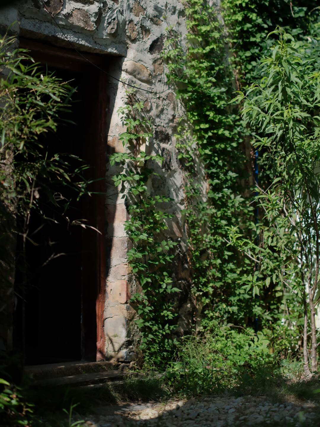 凤凰山居 一芦居小院