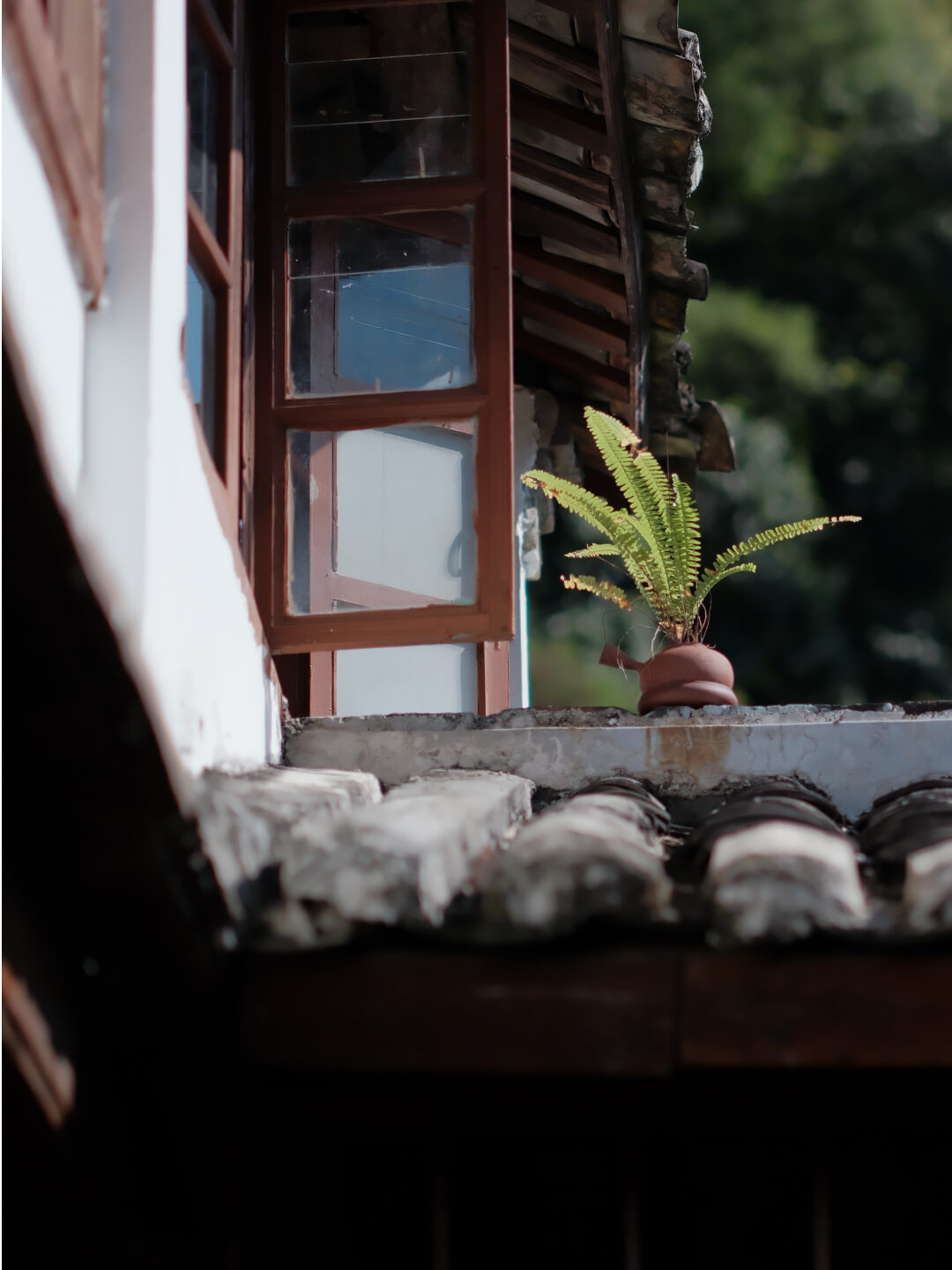 凤凰山居 一芦居小院