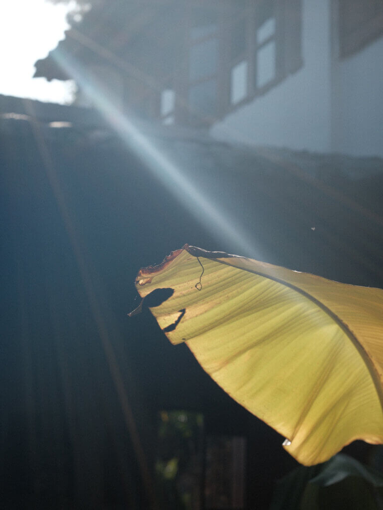 凤凰山居 一芦居小院