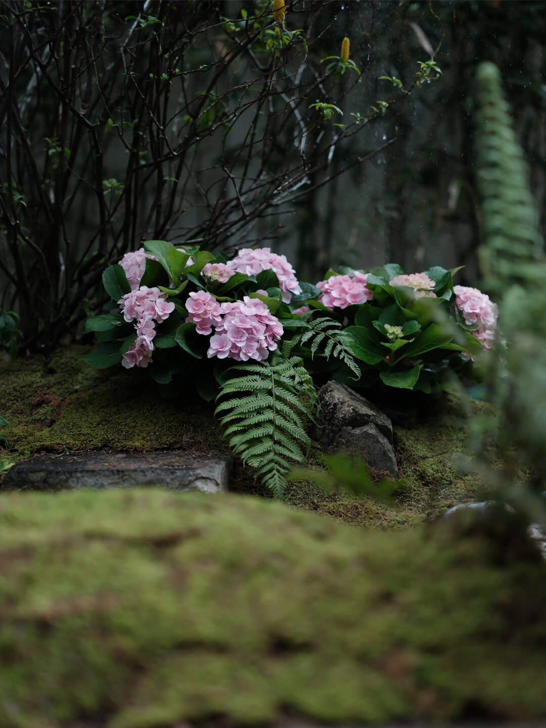 凤凰山居 一芦居小院