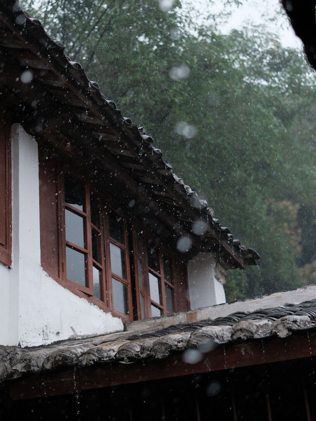 凤凰山居 一芦居小院
